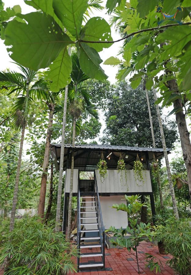 Serenity Villa And Treehouse Palakkad Exterior foto